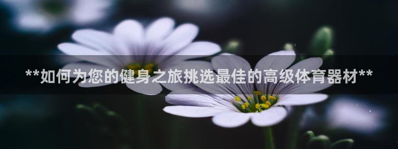 极悦平台官方网站首页下载：**如何为您的健身之旅挑选