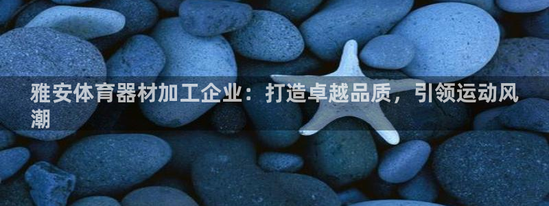 极悦平台：雅安体育器材加工企业：打造卓越品质，引领运