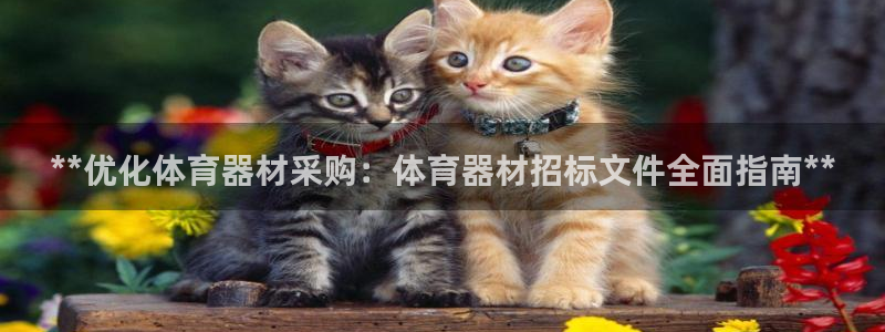 极悦平台官方网站入口链接手机：**优化体育器材采购：