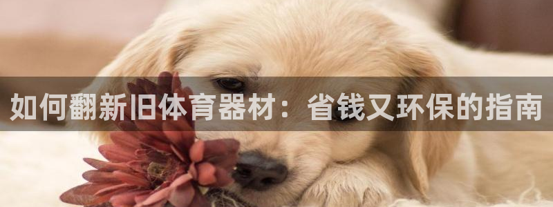 极悦平台注册失败如何解决呢：如何翻新旧体育器材：省钱