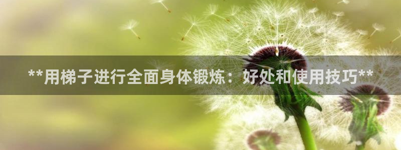 极悦娱乐官网客服联系方式是什么：**用梯子进行全面身