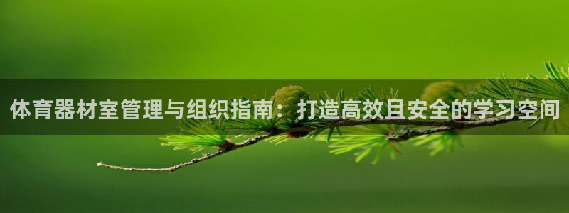 极悦娱乐股东结构：体育器材室管理与组织指南：打造高效