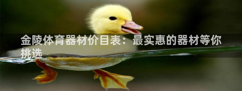 极悦官网的登录方法有哪些：金陵体育器材价目表：最实惠