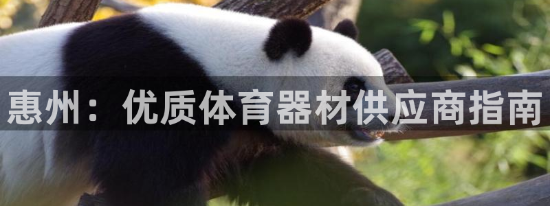 极悦平台用户评价与反馈怎么设置：惠州：优质体育器材供