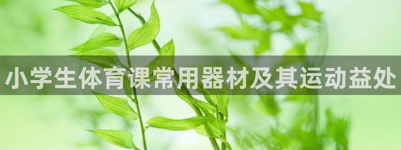 极悦平台登录最新版本更新内容怎么删除：小学生体育课常