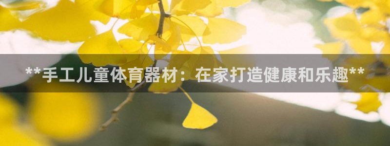 极悦平台用户评价：**手工儿童体育器材：在家打造健康