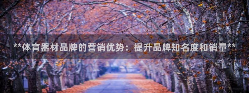 极悦娱乐官网入口网址：**体育器材品牌的营销优势：提