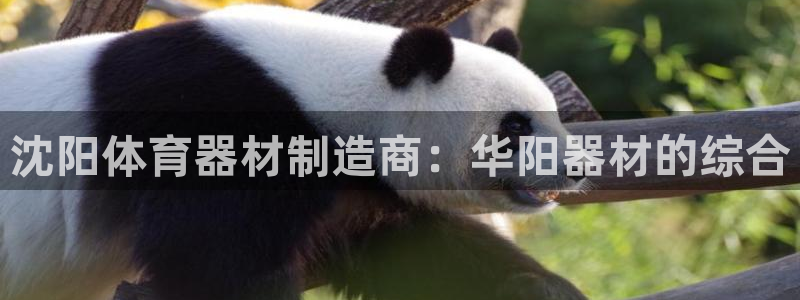 极悦平台用户评价与反馈怎么设置：沈阳体育器材制造商：