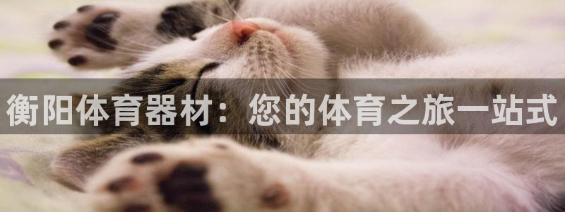 极悦官网旗舰店是正品吗：衡阳体育器材：您的体育之旅一