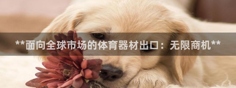 极悦平台官方网站下载：**面向全球市场的体育器材出口