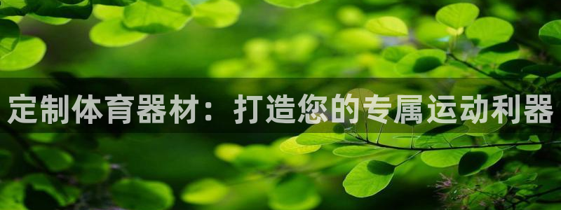 极悦娱乐官方网站首页：定制体育器材：打造您的专属运动