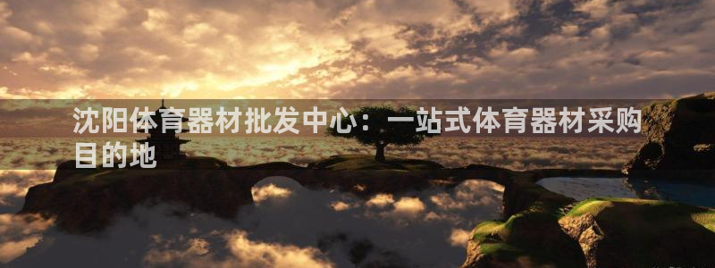 极悦平台官网入口下载：沈阳体育器材批发中心：一站式体