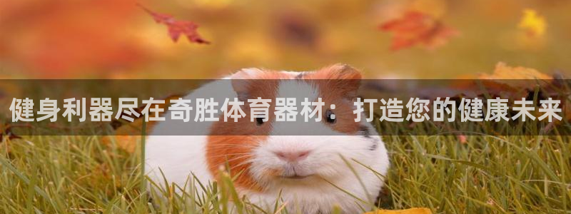 极悦平台注册资金多少钱：健身利器尽在奇胜体育器材：打