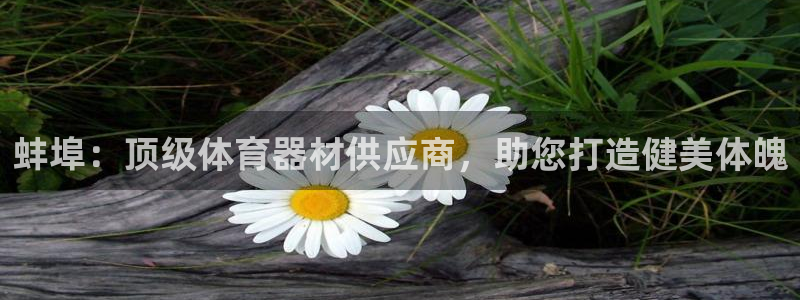 极悦平台代理：蚌埠：顶级体育器材供应商，助您打造健美