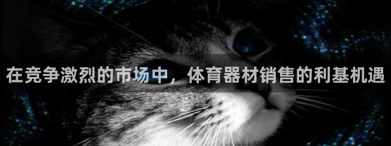 极悦平台是正规平台吗安全吗可靠吗：在竞争激烈的市场中