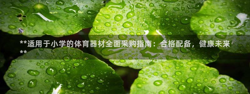 极悦平台官网登录入口网址查询：**适用于小学的体育器