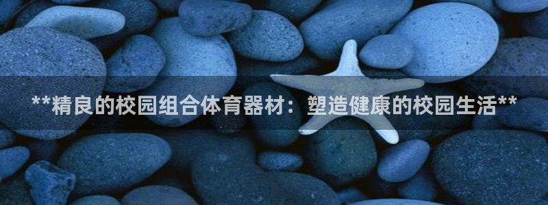极悦娱乐代理人是谁：**精良的校园组合体育器材：塑造