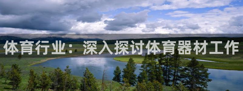 极悦平台注册的弊端及解决方法：体育行业：深入探讨体育