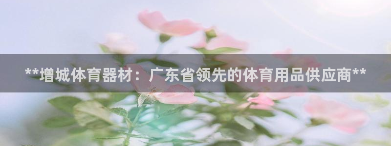 极悦平台用户评价与反馈怎么设置：**增城体育器材：广