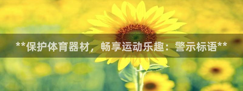 极悦平台官网登录入口手机版：**保护体育器材，畅享运