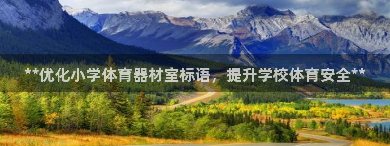 极悦平台app二维码怎么弄：**优化小学体育器材室标
