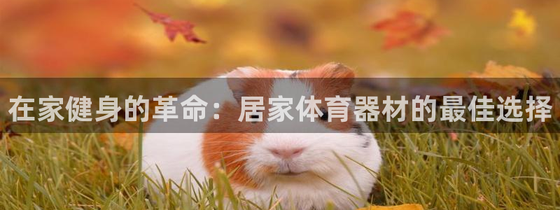 极悦是什么牌子空调：在家健身的革命：居家体育器材的最