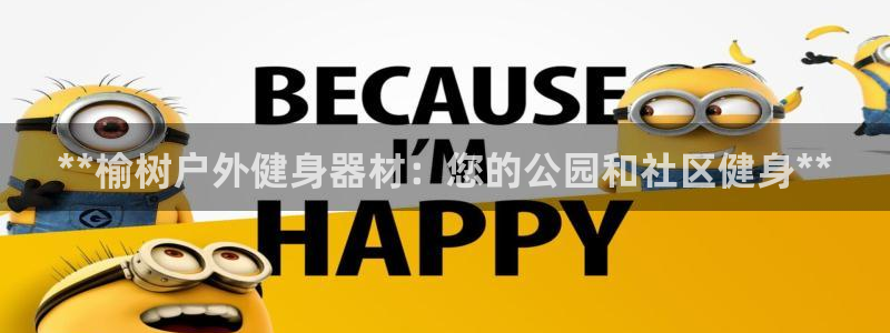 极悦官网首页登录入口：**榆树户外健身器材：您的公园