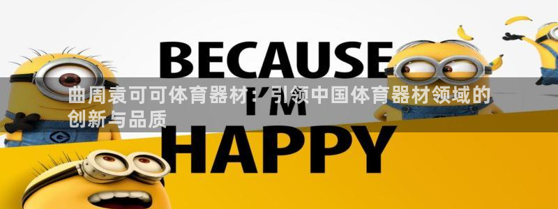 极悦娱乐创始人背景故事是什么：曲周袁可可体育器材：引