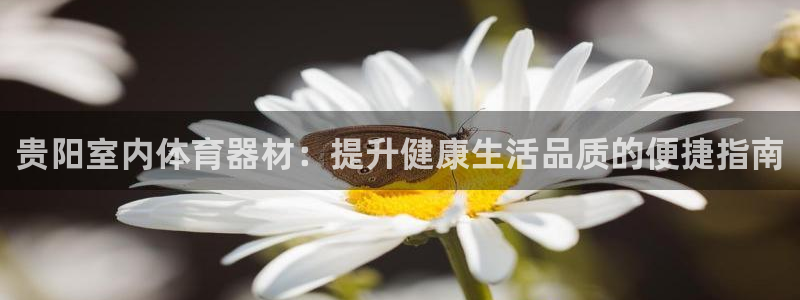 极悦平台基7O777：贵阳室内体育器材：提升健康生活
