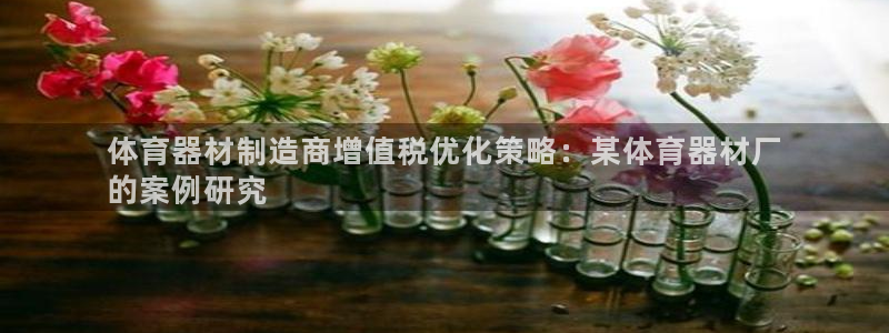 极悦平台好7.0.2.4怎么样：体育器材制造商增值税