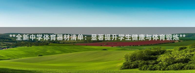 极悦娱乐创始人背景故事介绍：**全新中学体育器材清单