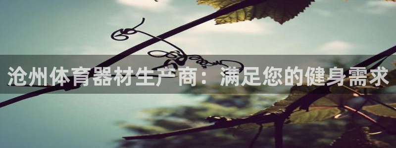 极悦平台官网登录入口网址是什么：沧州体育器材生产商：