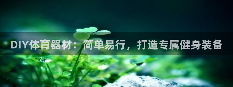极悦平台是干嘛的啊：DIY体育器材：简单易行，打造专