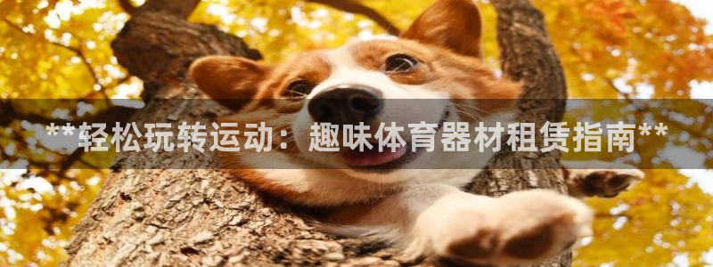 极悦平台注册资金多少：**轻松玩转运动：趣味体育器材