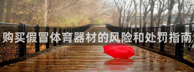 极悦平台登录入口注册账号：购买假冒体育器材的风险和处