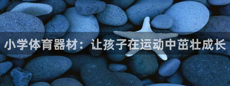 极悦平台官方网站首页入口：小学体育器材：让孩子在运动