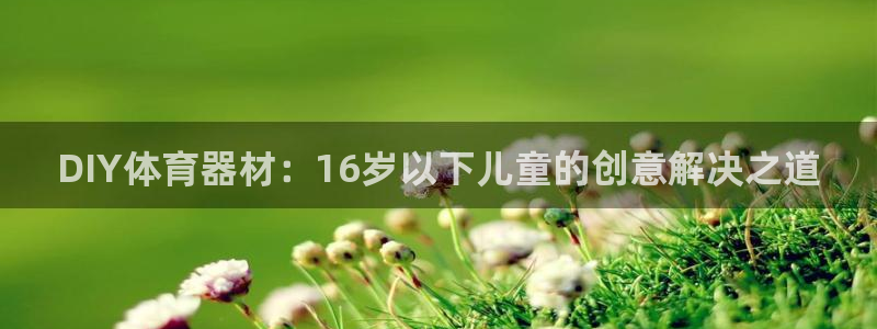 极悦平台登录方式怎么改：DIY体育器材：16岁以下儿
