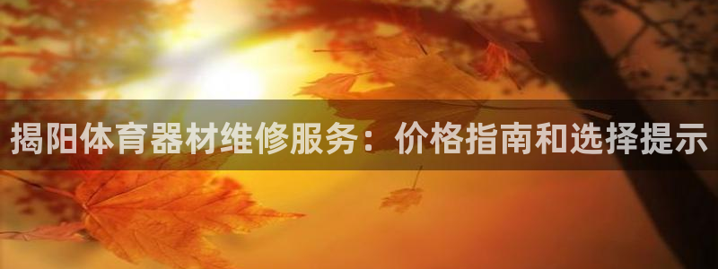 极悦官网旗舰店地址：揭阳体育器材维修服务：价格指南和