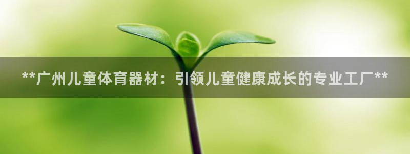 极悦娱乐会被骗吗是真的吗：**广州儿童体育器材：引领