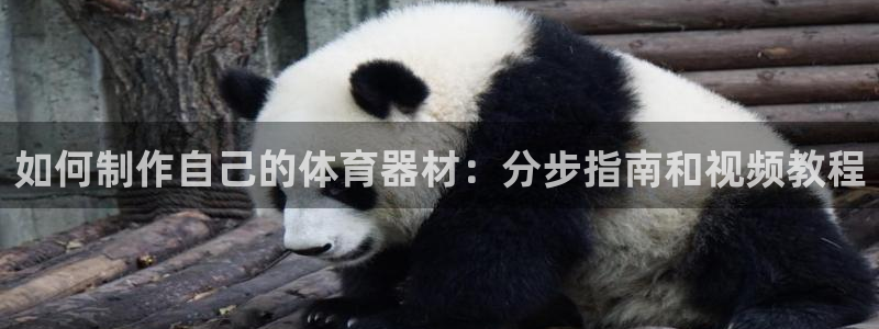 极悦平台登录入口注册：如何制作自己的体育器材：分步指