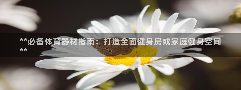 极悦娱乐的背景和历史背景介绍：**必备体育器材指南：