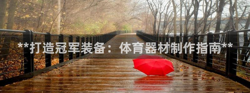 极悦官网入口登录网址：**打造冠军装备：体育器材制作