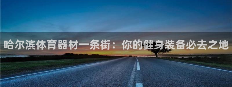 极悦平台登录最新版本更新内容：哈尔滨体育器材一条街：
