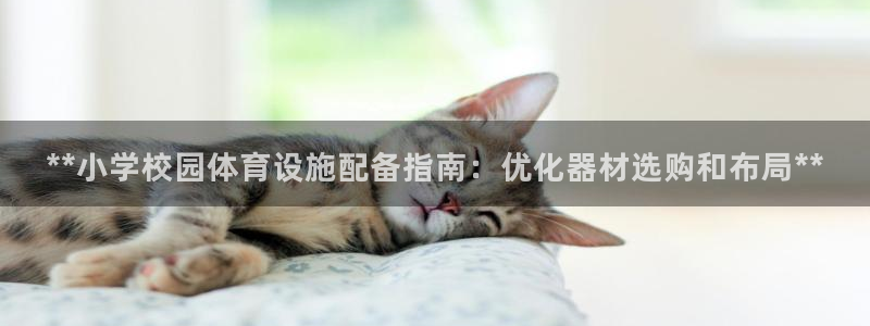 极悦平台官网登录不了：**小学校园体育设施配备指南：
