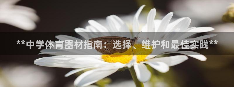 极悦平台的注册流程及注意事项：**中学体育器材指南：