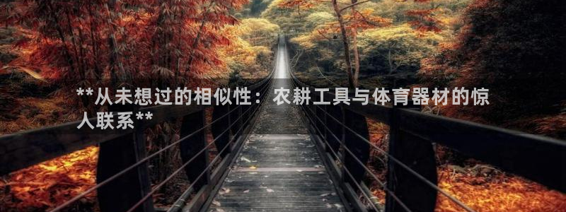 极悦平台官网入口网站：**从未想过的相似性：农耕工具