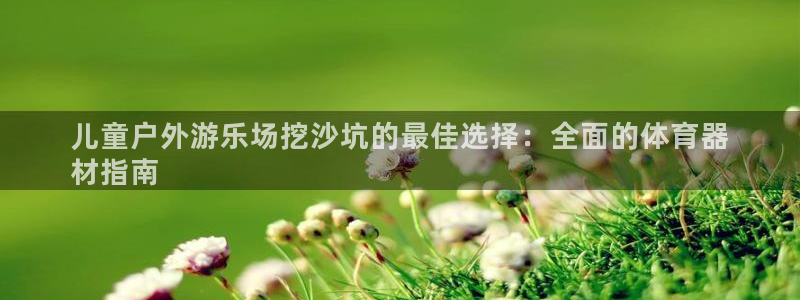 极悦生活家是什么平台的产品：儿童户外游乐场挖沙坑的最
