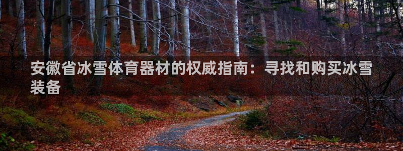 极悦平台是干嘛的公司：安徽省冰雪体育器材的权威指南：
