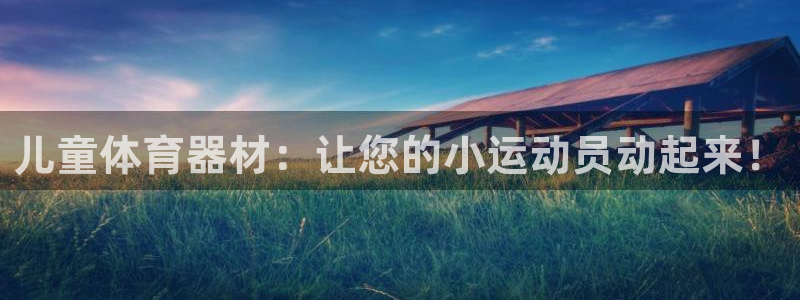 极悦生活家是什么平台的产品：儿童体育器材：让您的小运