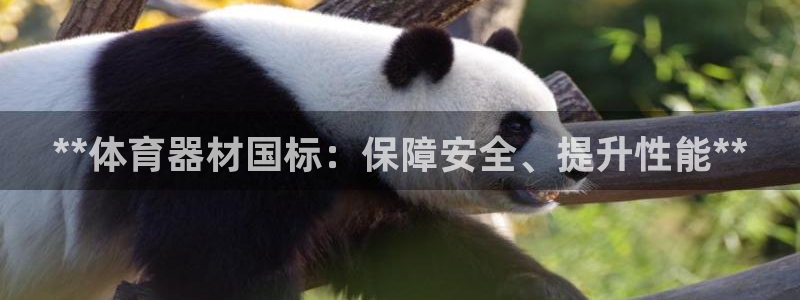 极悦平台家7O777：**体育器材国标：保障安全、提